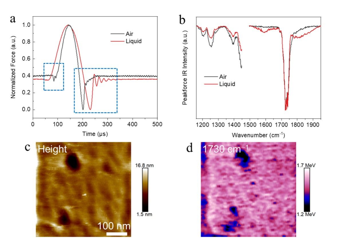 NanoIR measurement of polymer films in water