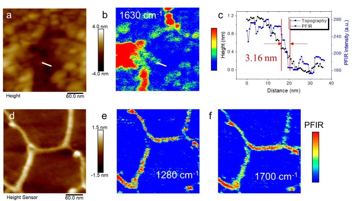 Figure 4. Ultra-sensitive and ultra-high spatial resolution nano-infrared imaging measurement of ultra-thin sample film.