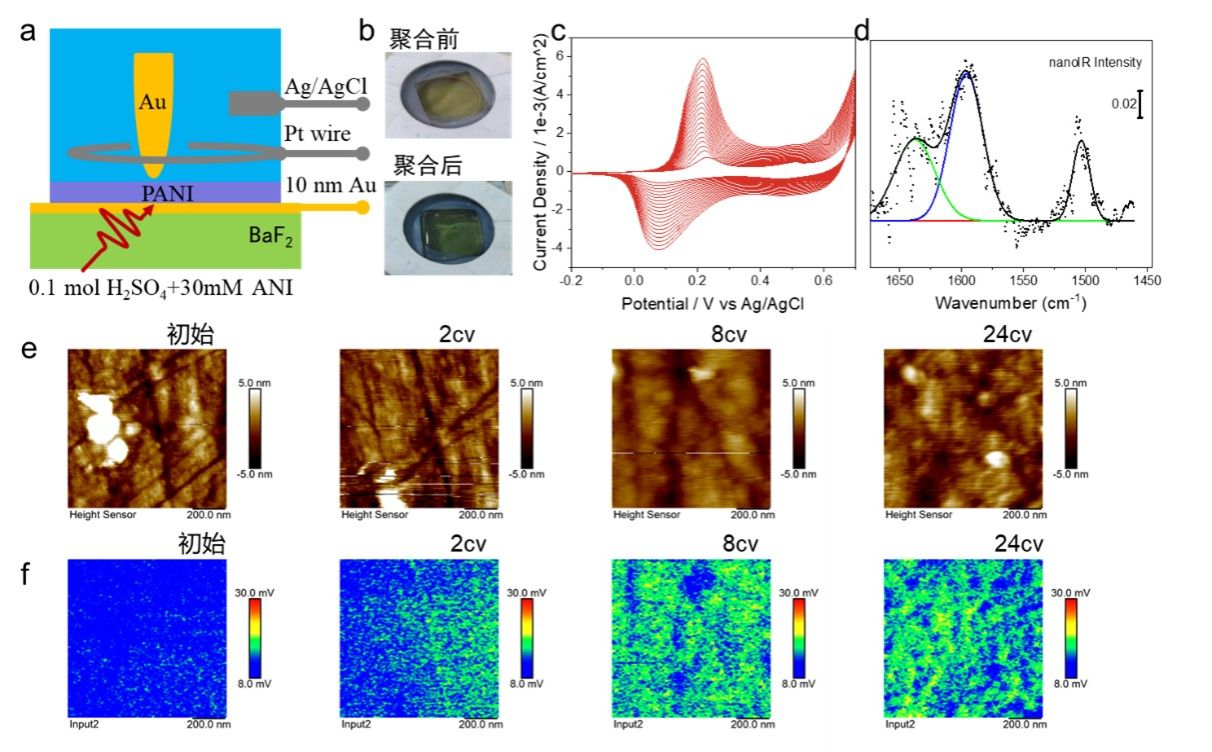 图5. 苯胺电聚合过程的原位纳米红外光谱观察。