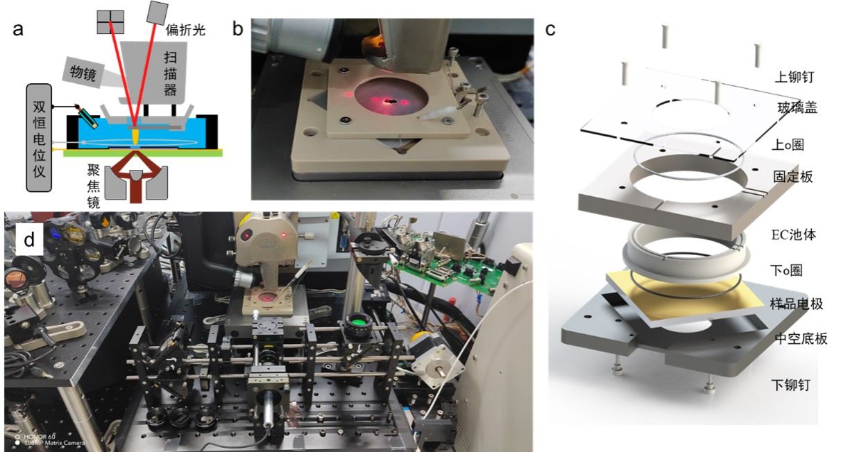 图2. 最新的第三代仪器设计的设计示意图。