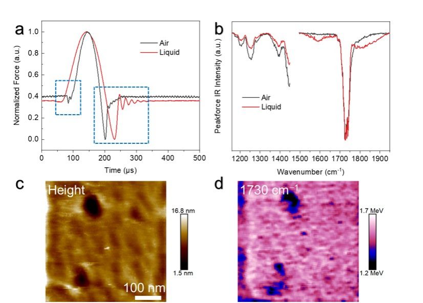 水环境标准样品聚合物膜表面的纳米红外测试。